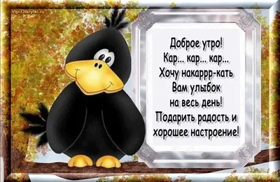 Юмор+жизнь - Доброе утро! 😀 | Facebook