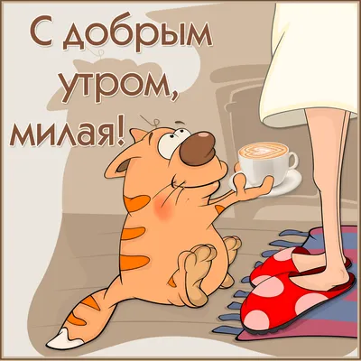 РЖУ НЕ МОГУ😂😂😂 | С добрым утром! #юмор #анекдоты #анекдот #приколы #шутки  #юмориразвлечения #анекдотысамыесмешные #юморприколыдемотиваторымемы #2 |  Дзен