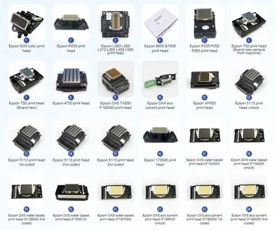 Струйный принтер EPSON L805 (C11CE86403) - AT020191 - купить Струйные принтеры  EPSON в Киеве и Украине, цены на Струйные принтеры и карта памяти в  интернет магазине А-Техно