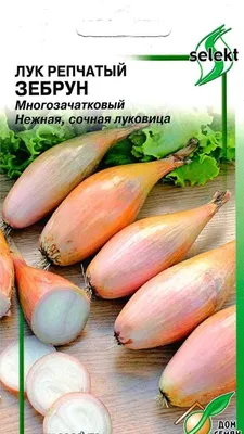 От цен щиплет глаза: в Челябинске резко подорожал лук