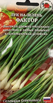 Лук зеленый 100г ТК Толмачевский - купить с доставкой | Интернет-магазин  Добрянка