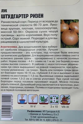 Чеснок озимый Донской 0,5 кг купить недорого в интернет-магазине товаров  для сада Бауцентр