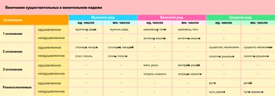 СКОЛЬКО В РУССКОМ ЯЗЫКЕ ПАДЕЖЕЙ НА САМОМ ДЕЛЕ. О чём вам не рассказывали в  школе