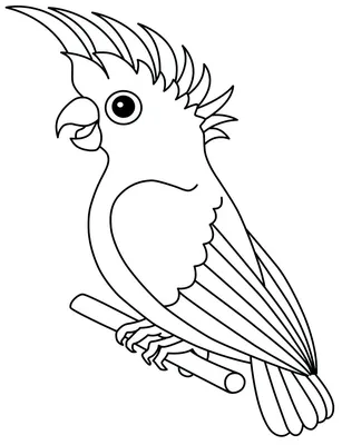 Раскраска Попугай | Раскраски, Раскраски с животными, Шаблоны животных
