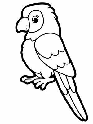 Раскраска Красивый попугай - распечатать бесплатно