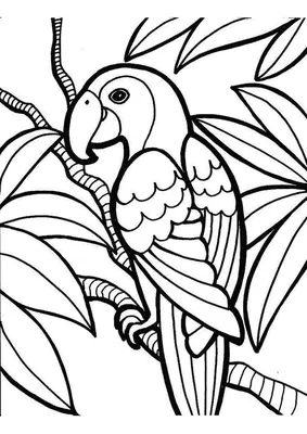 Раскраски Попугай для детей 3 4 лет (25 шт.) - скачать или распечатать  бесплатно #21616