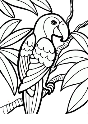Раскраска Попугай Ара — Мир раскрасок
