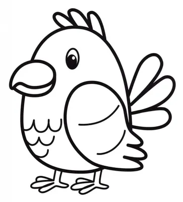 A353-60x80 Говорящий попугай Раскраска по номерам на холсте Живопись по  номерам купить недорого в интернет магазине в Краснодаре , фото, цена,  отзывы