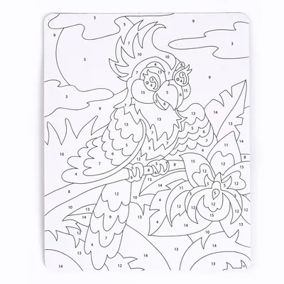 Раскраски Раскраска Попугай какаду попугай, скачать распечатать раскраски.