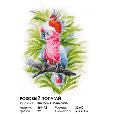 Раскраска попугай кеша - 58 фото