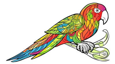 Раскраска милый попугай