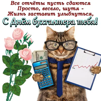 День бухгалтера 21 ноября: прикольные и красивые открытки с надписями к  празднику - МК Новосибирск