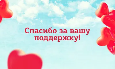 ❤❤❤Большое спасибо за... - ПРИЮТ АЗИРА для бездомных животных | Facebook