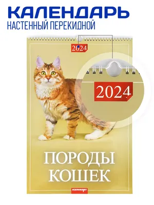 Атберг 98 Календарь настенный 2024 г. 320х480 Гороскоп на каждый день