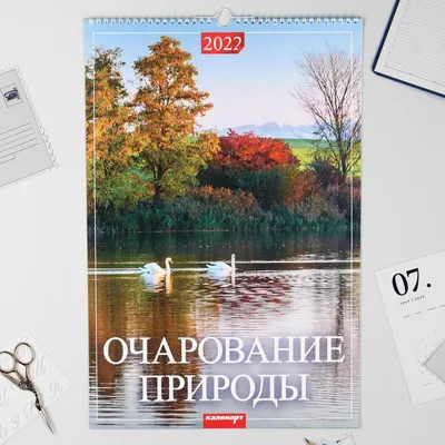 Календарь перекидной на ригеле Речные заводи 2023 год, 320х480 мм — купить  в интернет-магазине по низкой цене на Яндекс Маркете