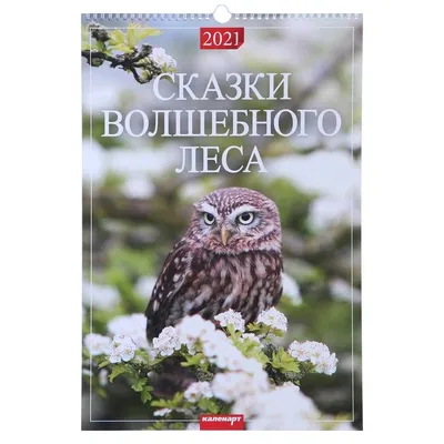 Okuwçy | Календарь настенный с ригелем на 2022. Размер 320х480 Красивые  города