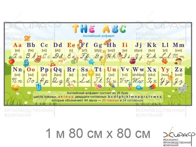 Плакат. Английский алфавит с транскрипцией/А5/3000778. Праздник купить  оптом в Екатеринбурге от 7 руб. Люмна