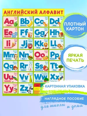 Обучающий плакат А2 (картон) \"Английский алфавит с транскрипцией\" - купить  с доставкой по выгодным ценам в интернет-магазине OZON (175779813)