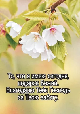 Лучшие идеи (150) доски «Благодарю Тебя Господь!!!» | благодарю тебя,  господь, господь, библейские цитаты