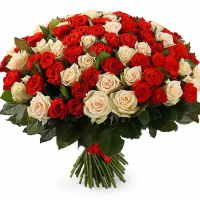 Купить Красные розы в Минске с доставкой