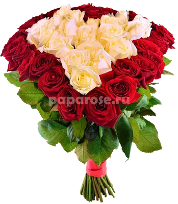 Купить Букет из 25 пионовидных кустовых роз в Краснодаре