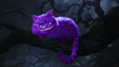 Усы Чеширского кота рисуют Алису в стране чудес, кот, млекопитающее,  животные, кошка png | Klipartz