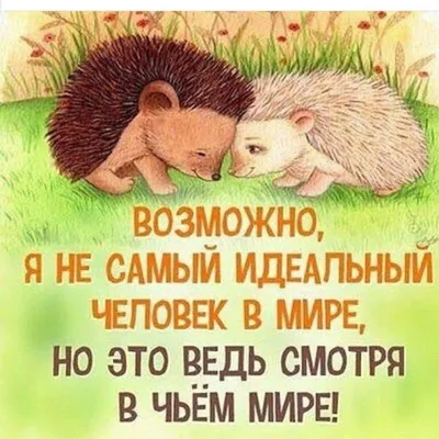 Книга Давай мириться! Сказка о дружбе. Памятка для родителей и игра -  внтури под QR-кодом! Полезные сказки ИД Питер, цвет , артикул 930083, фото,  цены - купить в интернет-магазине Nils в Москве