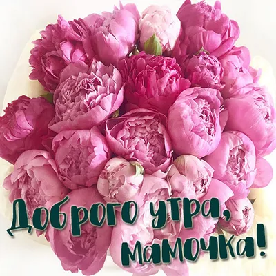 Открытка для мамы. Доброе утро, дорогая мамочка! Открытка с розами для мамы  с пожеланием доброго утра!