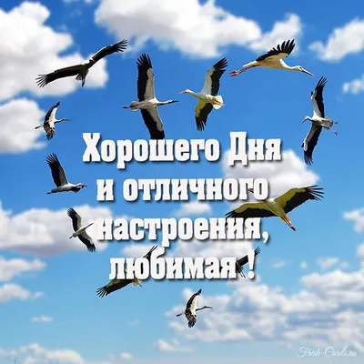 Пожелания хорошего дня в картинках, своими словами, в стихах, в смс и  христианские пожелания доброго дня — Украина