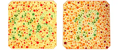 Сначала думал, что я глупый. Оказалось, просто дальтоник»: как живут люди с  цветовой слепотой | STENA.ee