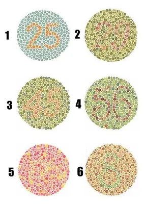 Тесты для проверки глаз - проверка на дальтонизм, дальнозоркость и  близорукость
