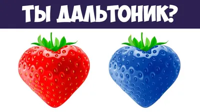 Нарушение восприятия оттенков красного и зеленого цвета, красно-зеленый  дальтонизм и полная цветовая слепота