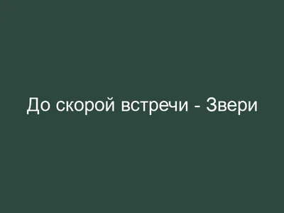 Александр Седельников. До скорой встречи/ Alexander Sedelnikov: See You  Later | Музей «Гараж»