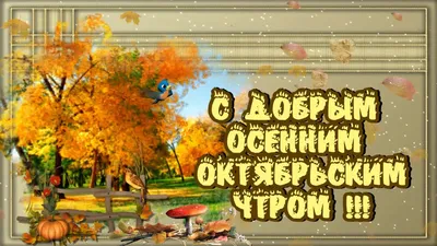 Картинка: С добрым октябрьским утром! Прекрасной осени!