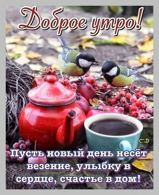 Ирина Зенкина - #доброеутро #позитив #хорошеенастроение | Facebook