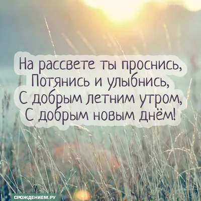 С ДОБРЫМ УТРОМ , МИР !!! С НОВЫМ ДНЁМ !!! ДОБРОГО ЛЕТНЕГО УТРА и ЧУДЕСНОГО  ДНЯ !!! ПРЕКРАСНЫХ ВЫХОДНЫХ !!! ☀️🌊🌞🌊🌟🌊☀️🌊🌞🌊🌟🌊☀️🌊🌞🌊🌟🌊 У  июля… | Instagram