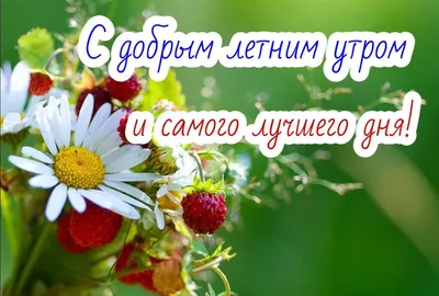 Картинка: \"С добрым летним утром, с добрым новым днём!\" • Аудио от Путина,  голосовые, музыкальные