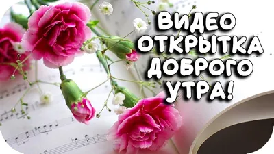 САМАЯ КРАСИВАЯ ОТКРЫТКА С ДОБРЫМ УТРОМ ДЛЯ ДРУЗЕЙ 2020! Пожелание доброг...  | Открытки, Фиолетовые розы, Доброе утро