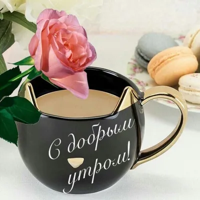 Красивые картинки Доброе утро ☀️☕ (618 шт.)