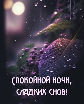 Картинки \"Спокойной ночи!\" (2829 шт.)