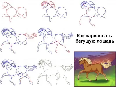 Рисунки котиков для срисовки - Раскрась этот мир!