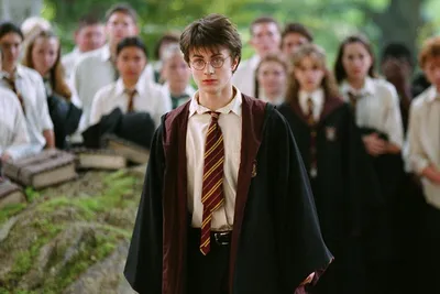 Скрытые смыслы в «Гарри Поттере»: как детская книга поднимает взрослые  проблемы - Горящая изба