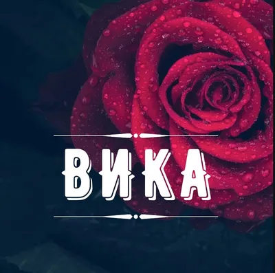 Картинки имя вика