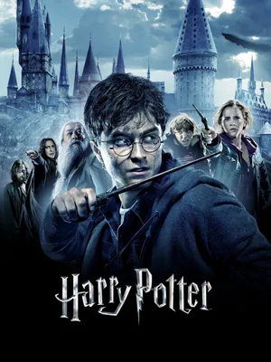 Гарри Поттер и Дары Смерти: Часть I 3D + 2D (3 Blu-ray) (Harry Potter and  the Deathly Hallows: Part 1) – Bluraymania