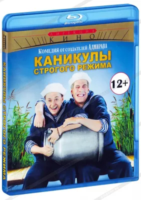 Каникулы строгого режима (Blu-ray) - купить с доставкой по выгодным ценам в  интернет-магазине OZON (260582225)