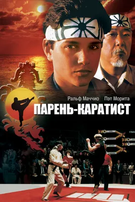 Интересные факты о фильме Каратэ-пацан / The Karate Kid (2010) | Пикабу