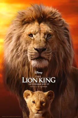 Картинки из фильма король лев обои