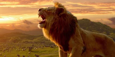 Обзор фильма «Король Лев» — красивого, ностальгического, но совершенно  пустого ремейка классики - Лайфхакер