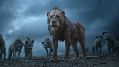 Король Лев / The Lion King (2019, фильм) - «Мне довелось испытать былые  эмоции из детства, но уже по новому!» | отзывы