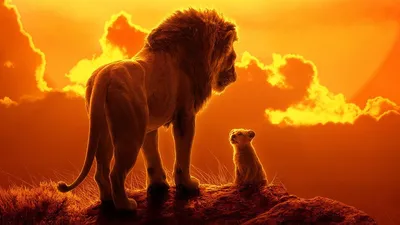 Промо фильма «Король Лев»: Люди и звери — Новости на Кинопоиске